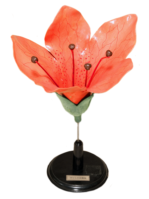 杜鹃花模型(纤维)